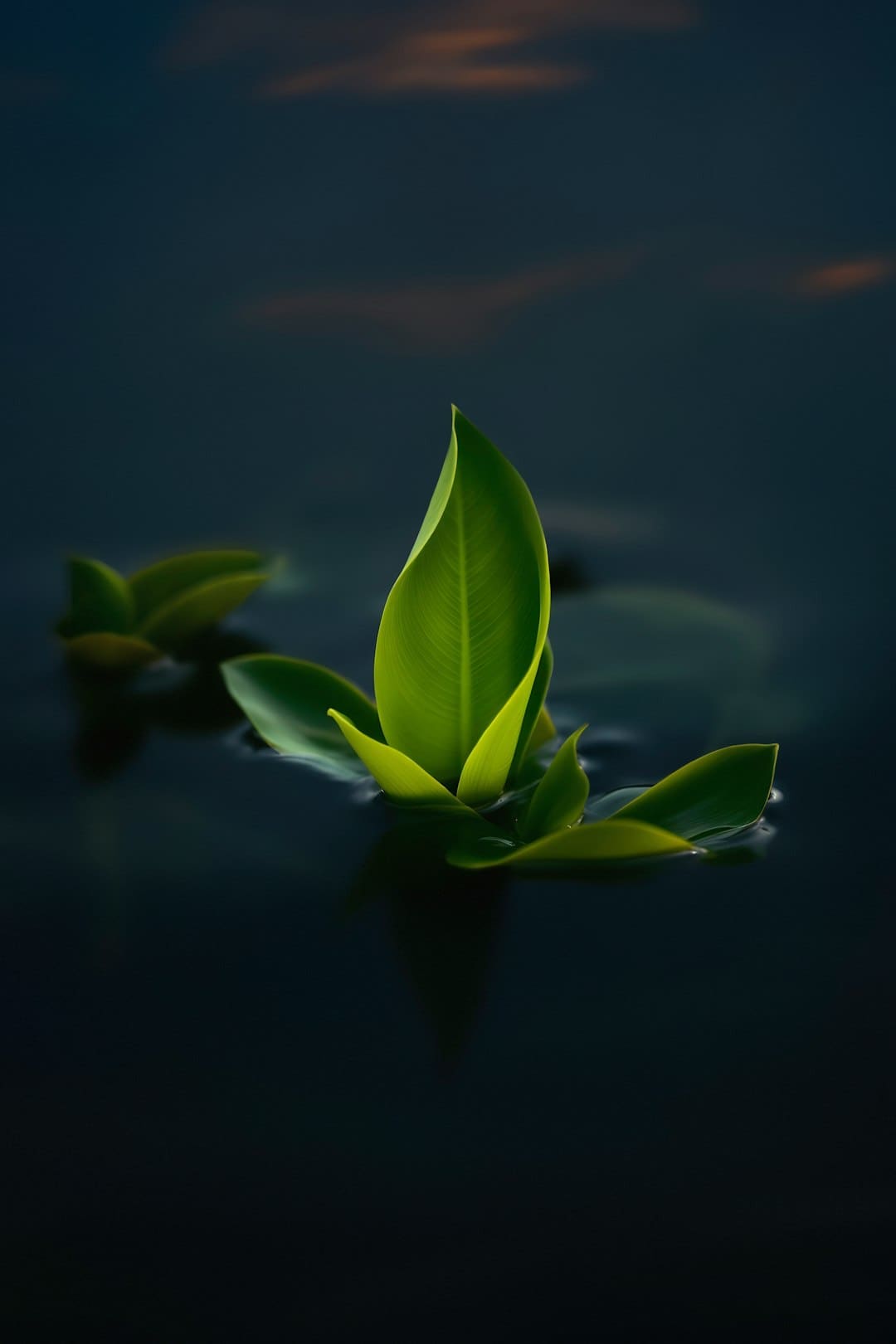 我想吃火锅是什么梗